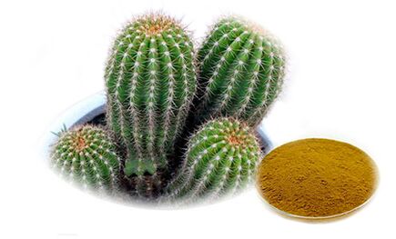 Hoodia gordoni with Reduslim