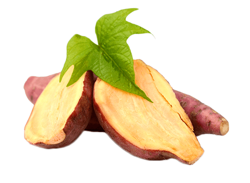 Original Yacon in Reduslim